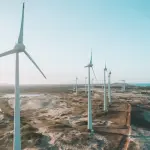 Perché sarà importante la transizione ecologica per le organizzazioni?