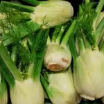 Alla scoperta dei benefici del sedano