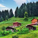 Tutti i benefici di una casa in legno