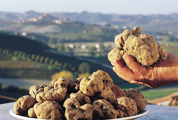 Cosa sapere sul tartufo bianco