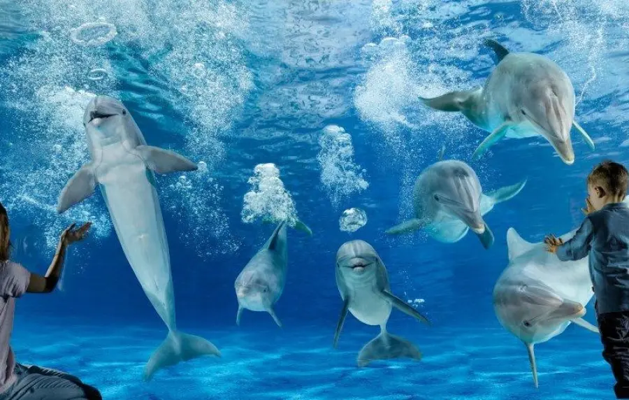 Vacanze in Romagna: alla scoperta dei parchi tematici in Riviera