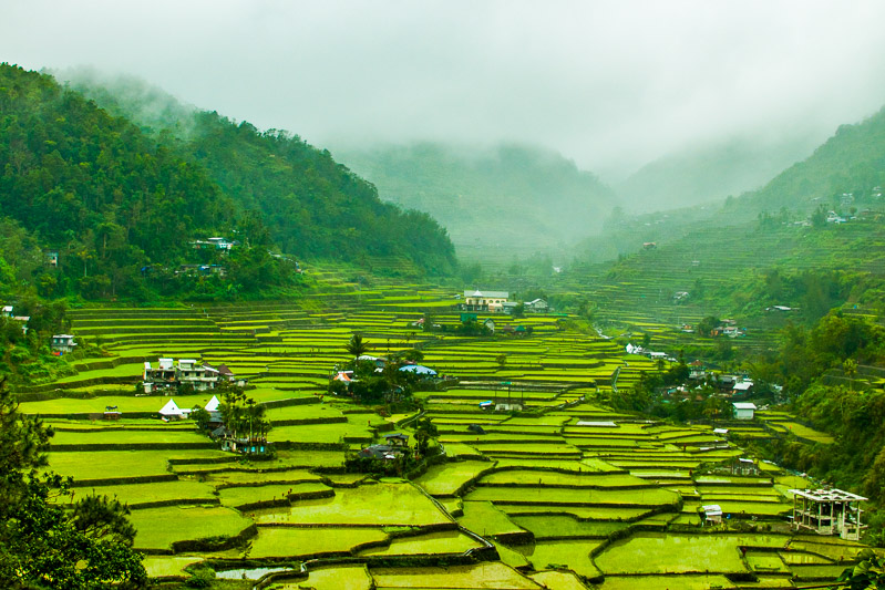Filippine: terrazze da mozzafiato