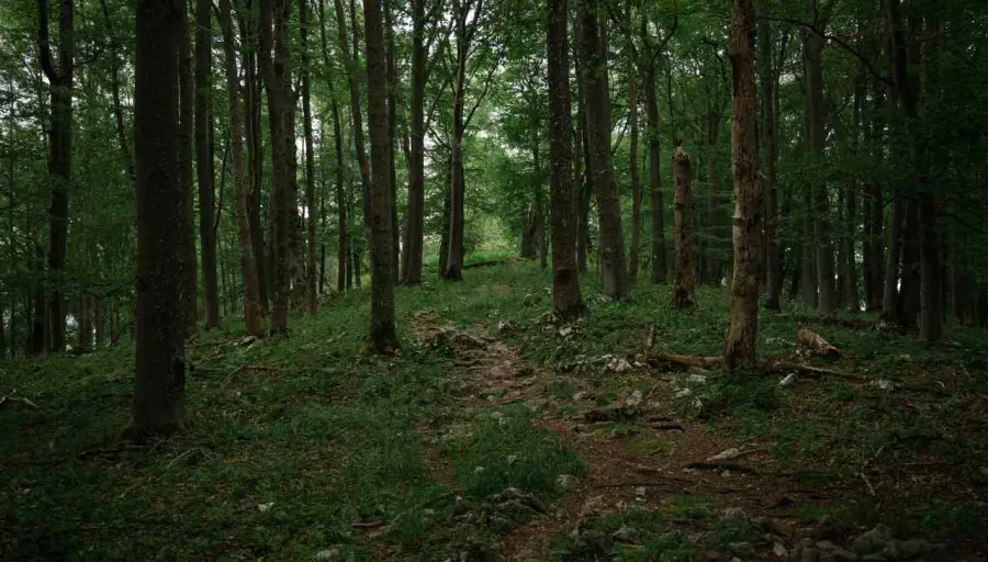 Prodotti etici sulla tua tavola: alcuni suggerimenti utili