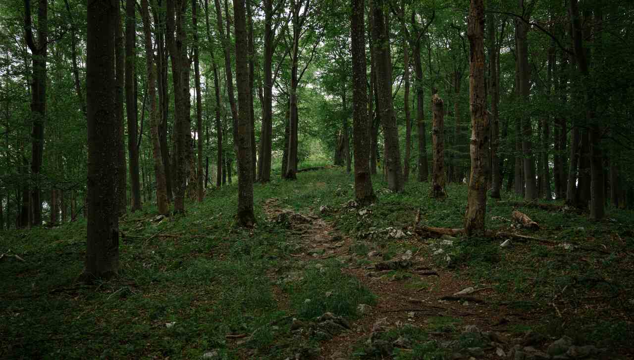 Prodotti etici sulla tua tavola: alcuni suggerimenti utili